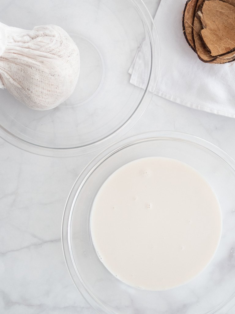 dairy-free coconut milk