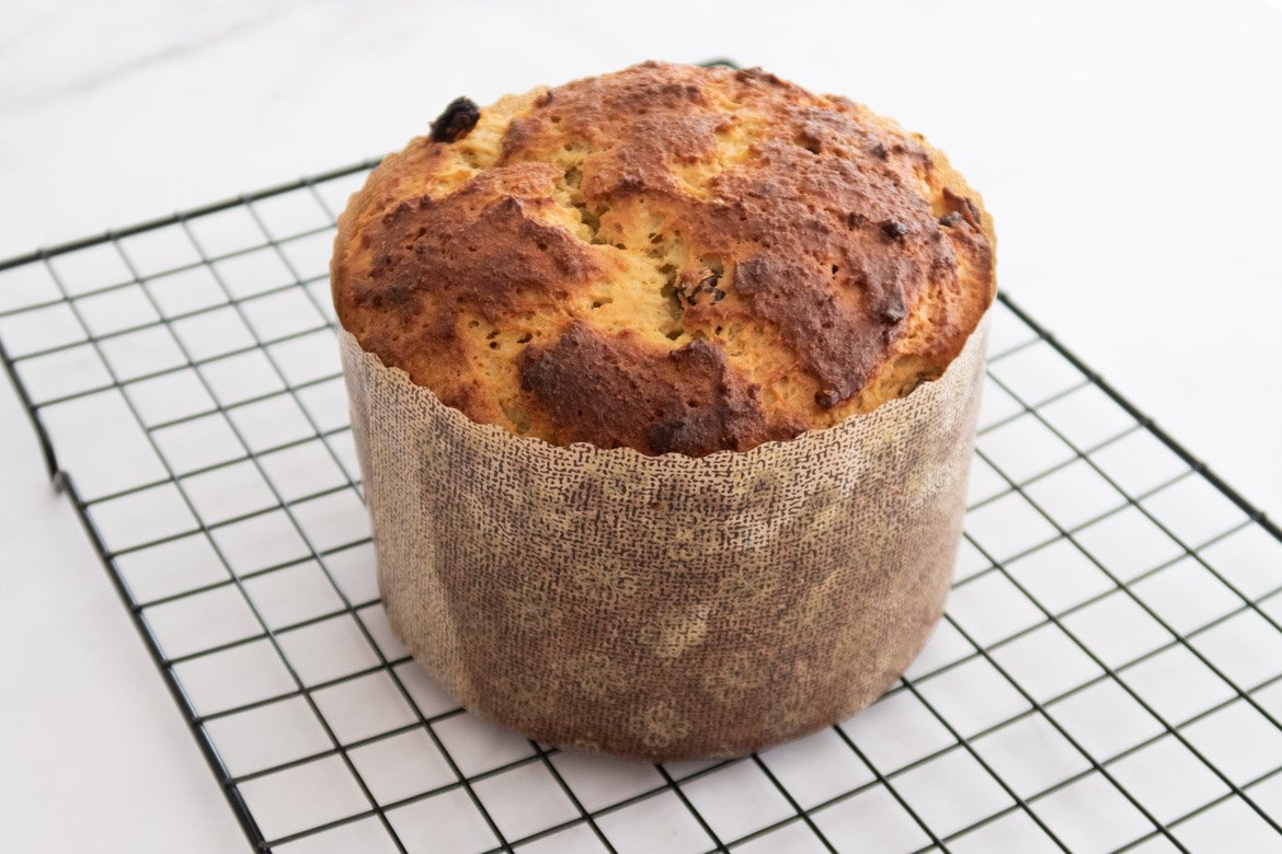 Gluten-free homemade panettone